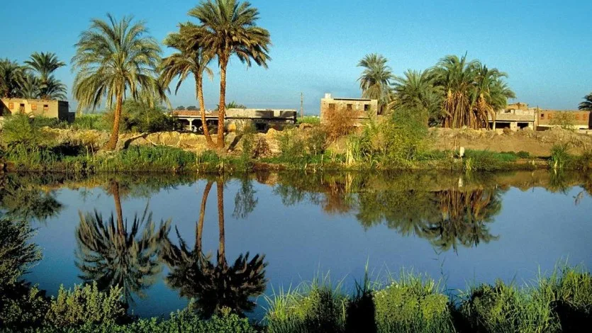 نظام الحياة اليومي في القرية