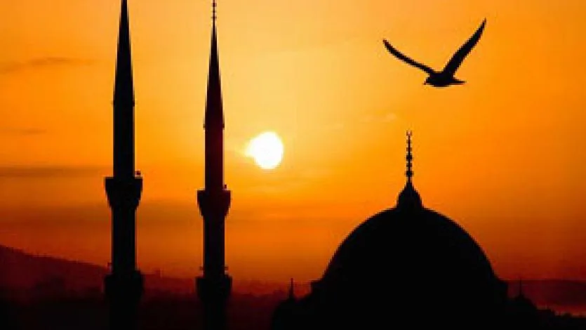 القرضاوي: لولا هدى الله لاحتارت بصائرنا
