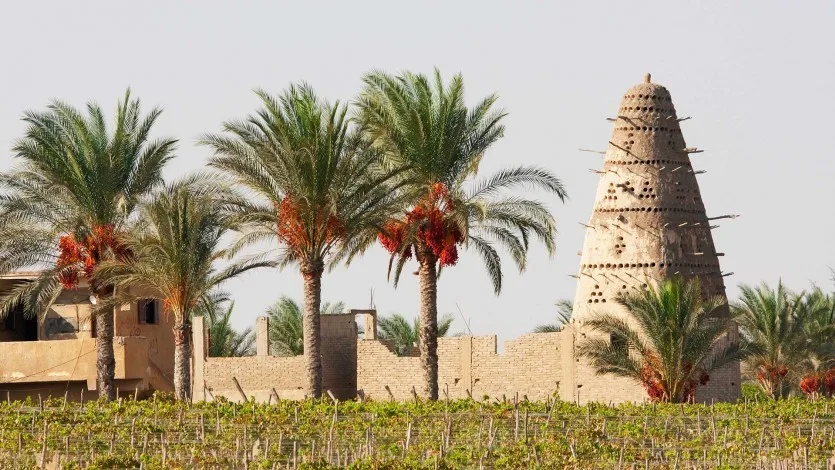 (1) في القرية
