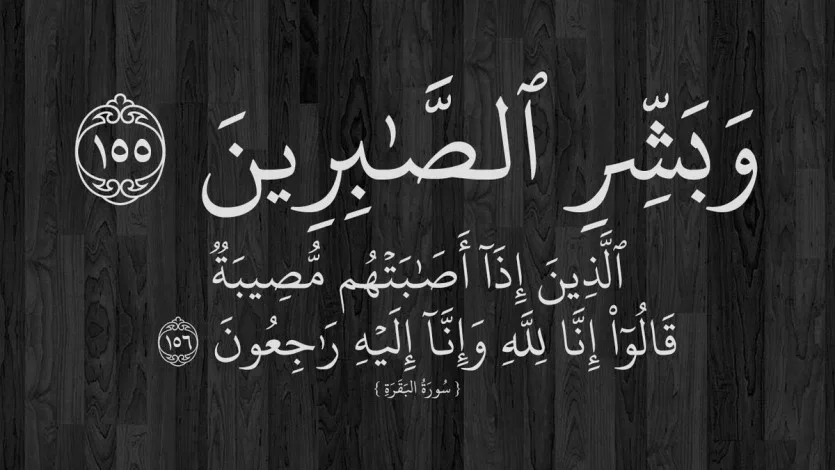 القرضاوي يعزي أهالي ضحايا الطائرة المصرية