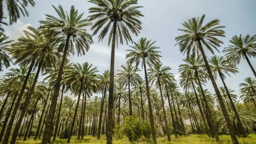 واقعية الإسلام في التعامل مع الإنسان